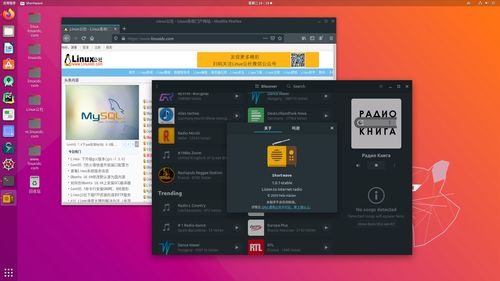網絡電臺播放器shortwave1.0發布,linux下安裝方法