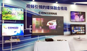 cibn互聯(lián)網(wǎng)電視攜旗下看尚亮相birtv2017