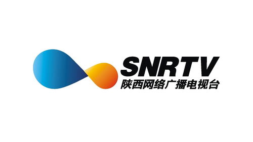 陜西網絡廣播電視臺